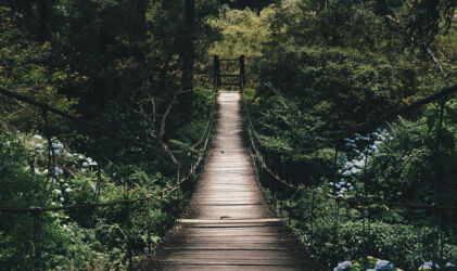 picture-vertical-3