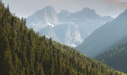 picture-vertical-1